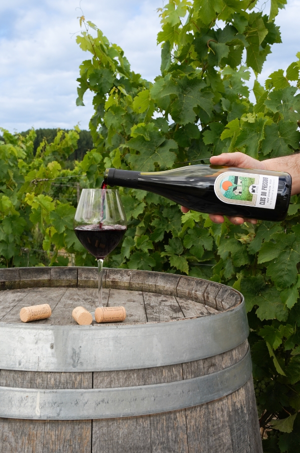 Clos du Pressoir - Rouge 2023 – Image 3